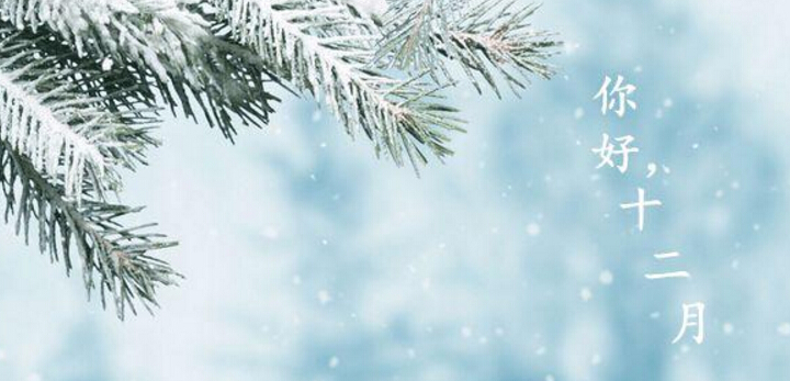 20181203384249.jpg QQ截圖20181203145611.jpg